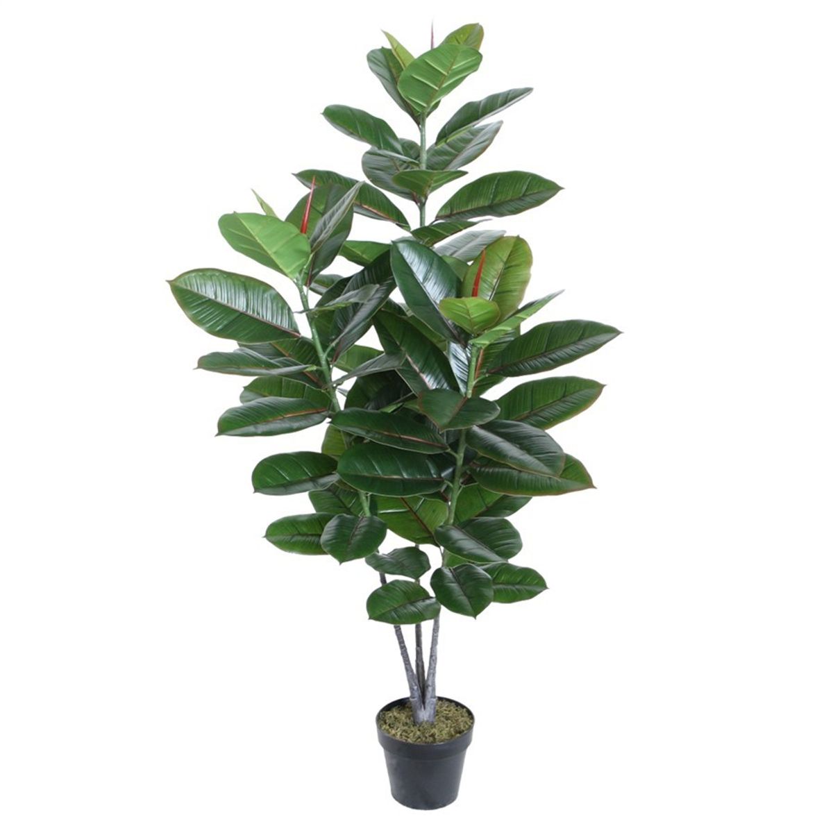 VADELL - Ficus Elástica/Gomero de 130 cm Vadell Home