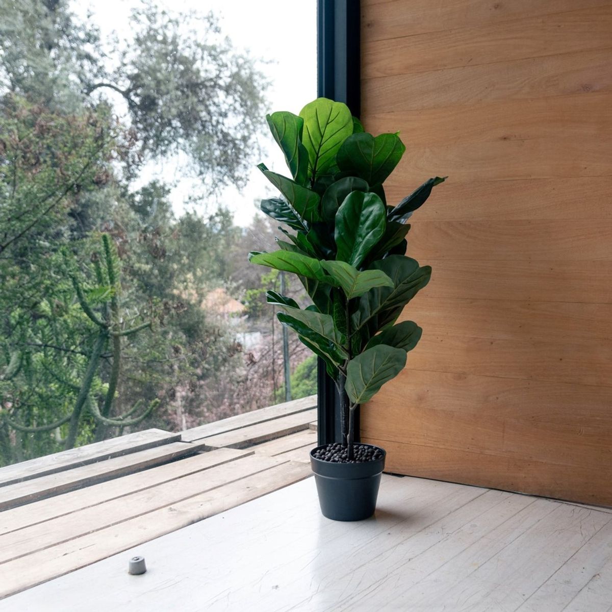 VADELL - Ficus Lyrata de 100 cm Vadell Home