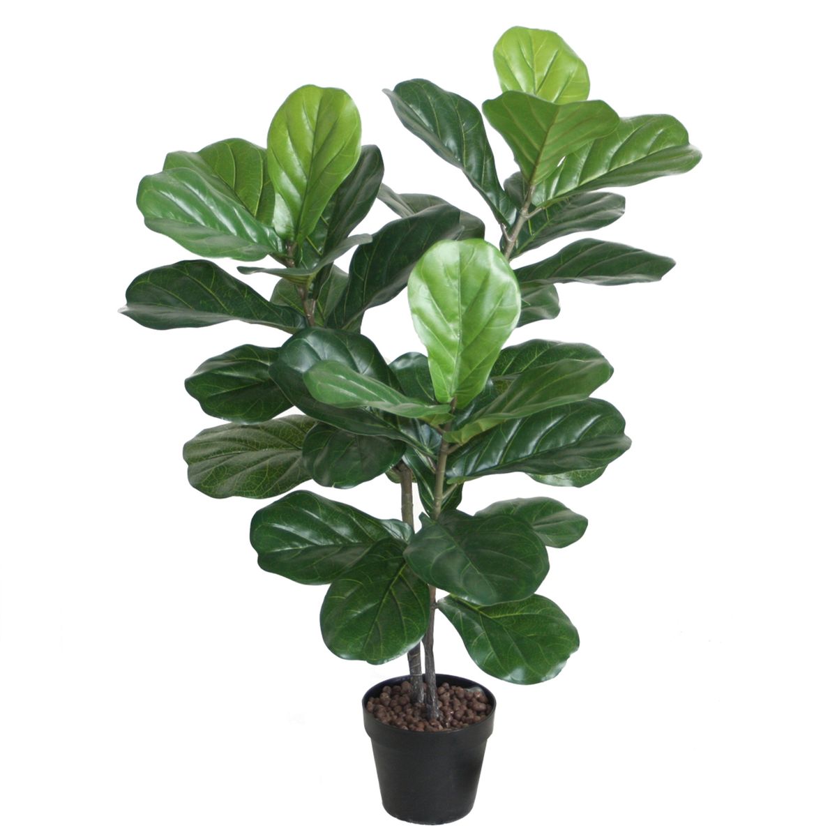 VADELL - Ficus Lyrata de 100 cm Vadell Home