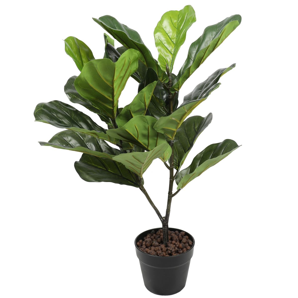 VADELL - Ficus Lyrata de 75 cm Vadell Home