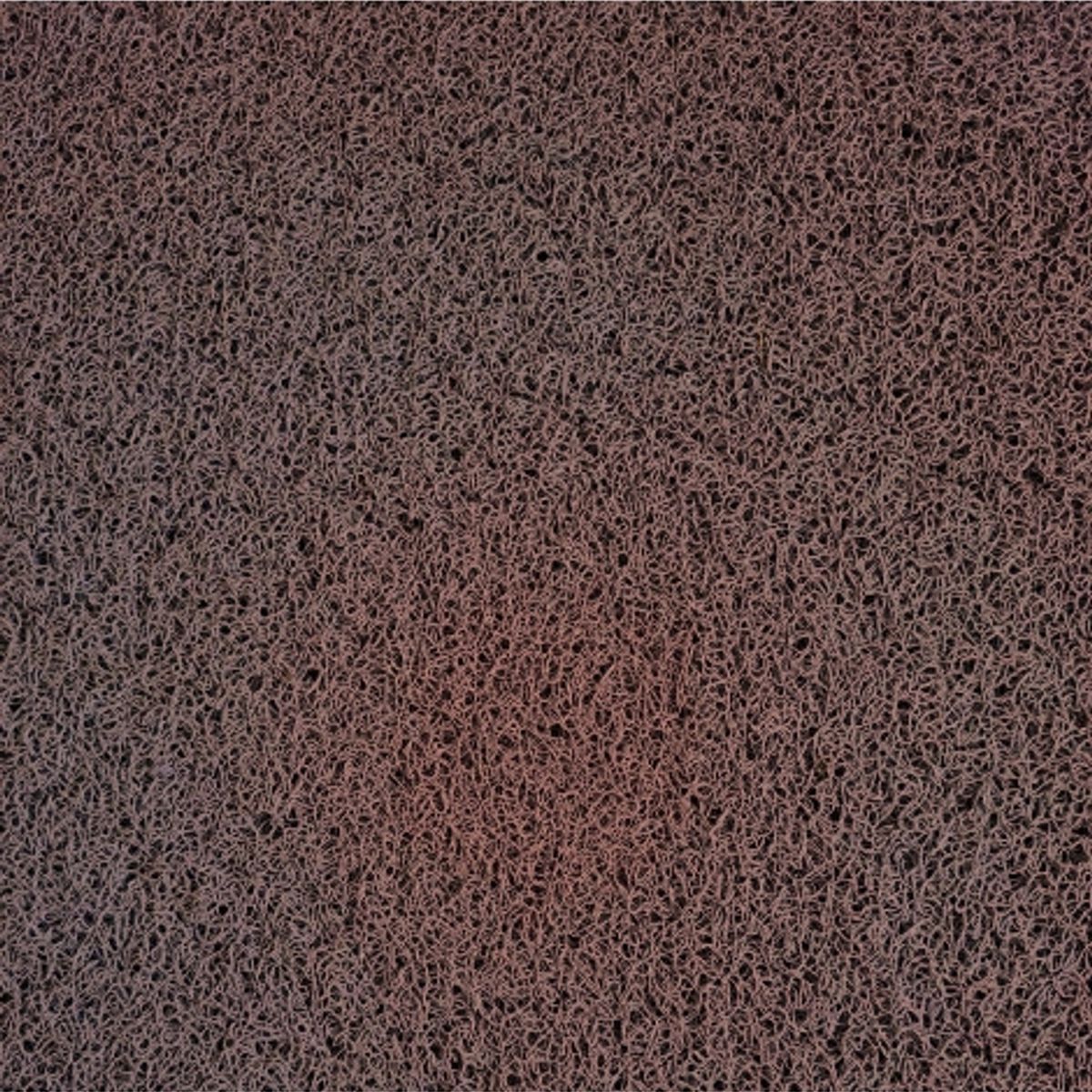 SIGNET - Piso Limpiapie Signet Rollo 12m x 12m x12mm