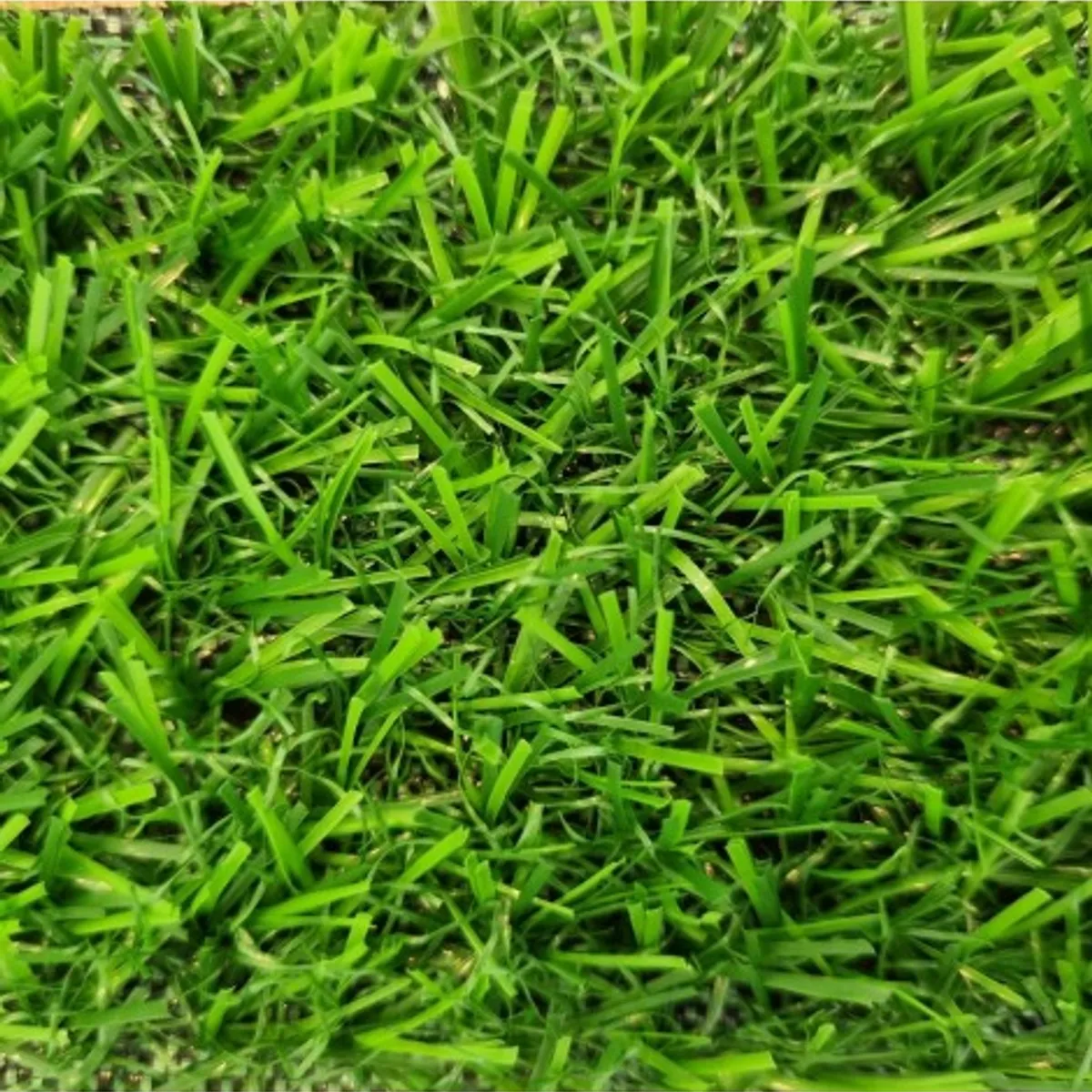 SIGNET - Pasto Sintetico 15mm Rollo 2x25 Metros Signet