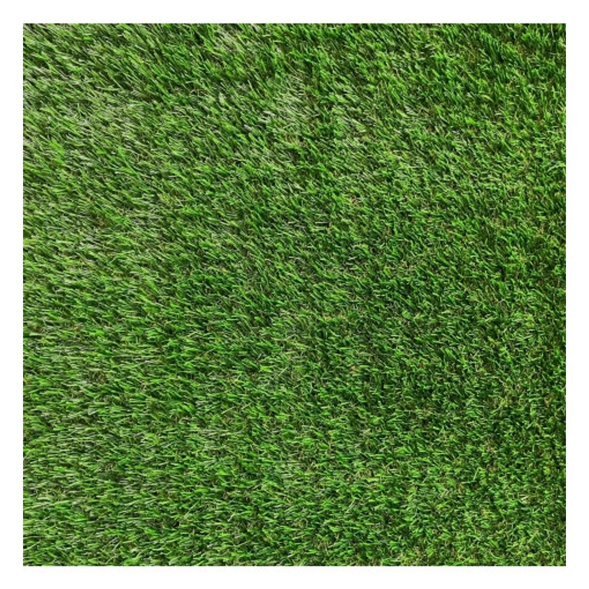 SIGNET - Pasto Sintetico 30mm  Rollo 2x25 Metros Signet