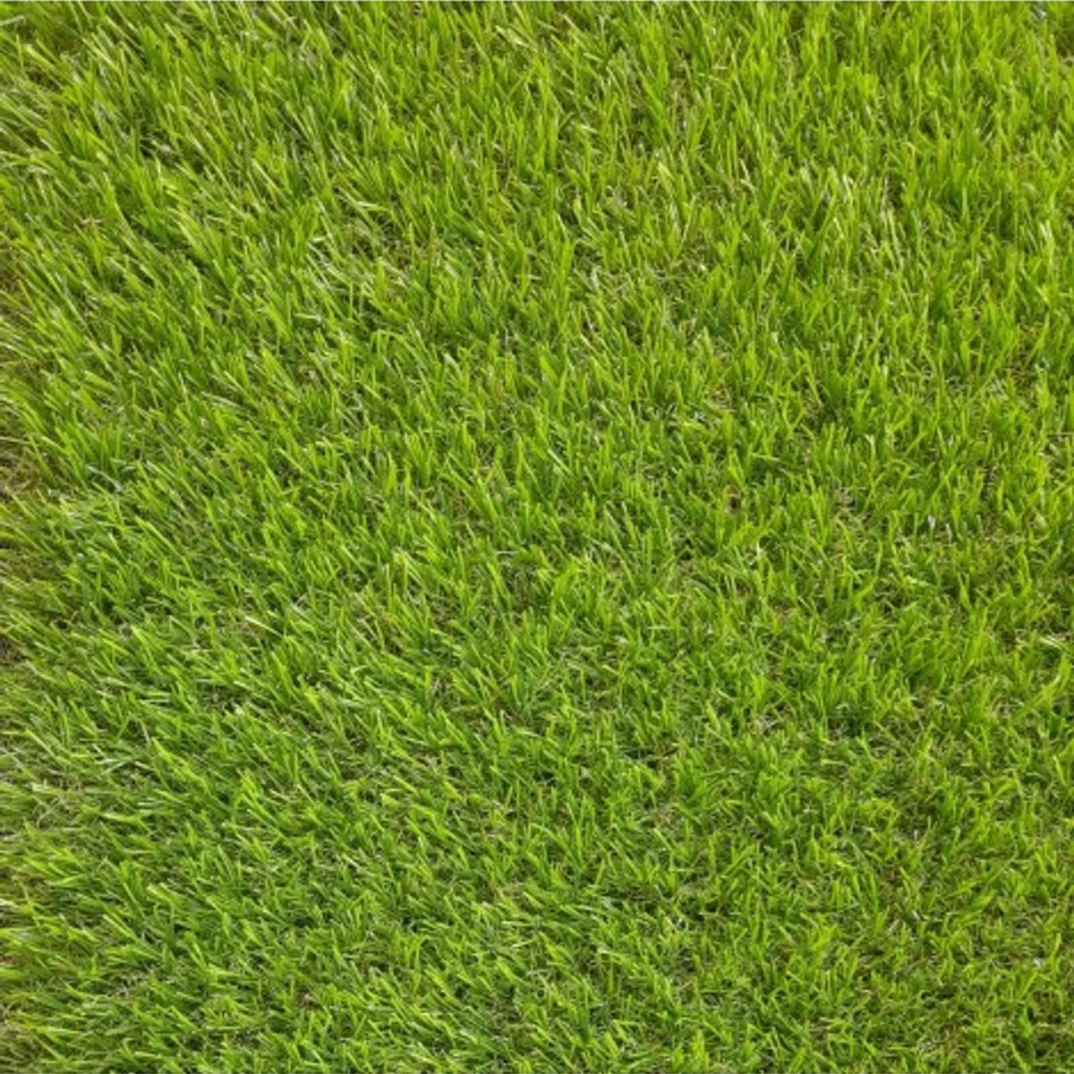 SIGNET - Pasto Sintetico 40mm Rollo 2x25 Metros Signet