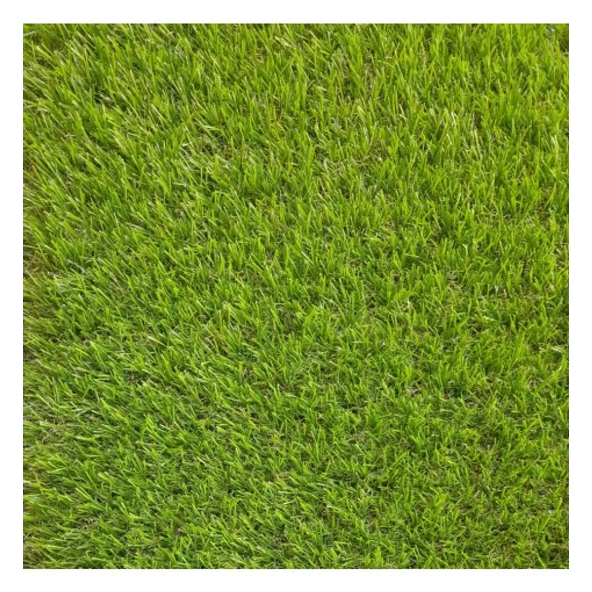 SIGNET - Pasto Sintetico 40mm Rollo 2x25 Metros Signet