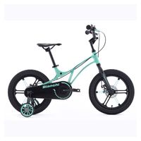 Bicicleta Infantil Mtb Pro Aro 16 Unisex