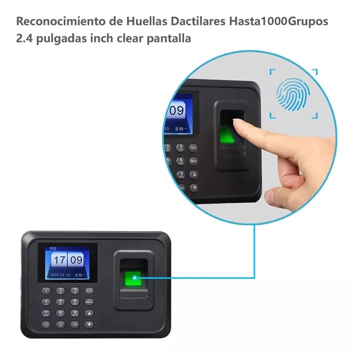 BLUEDREAMER - Reloj Control Asistencia Huella Biométrico Memoria Internet