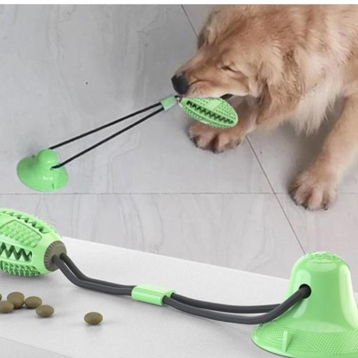 GENERICO - Mordedor Para Mascotas Perros Con Sujeción de Ventosa