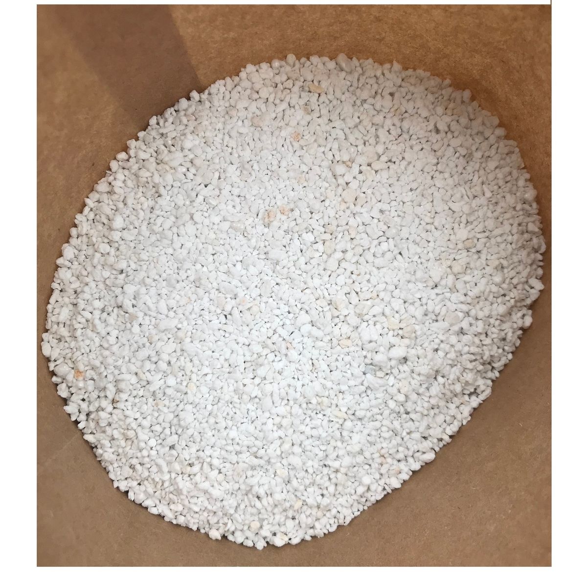 GENERICO - Perlita 300   gramos