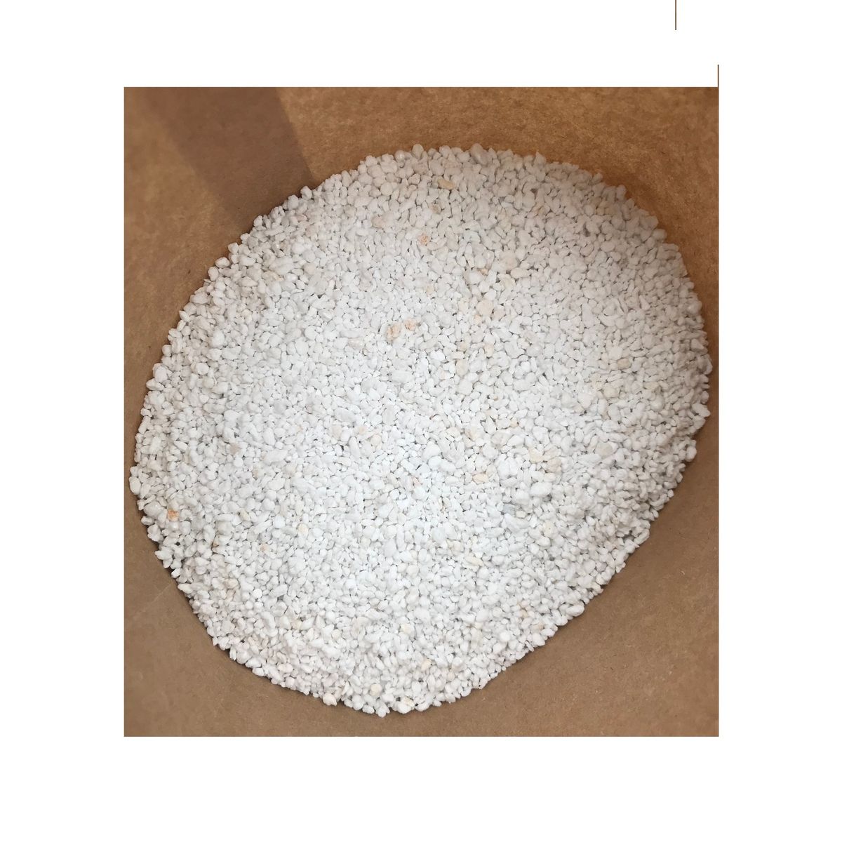 GENERICO - Perlita 300   gramos