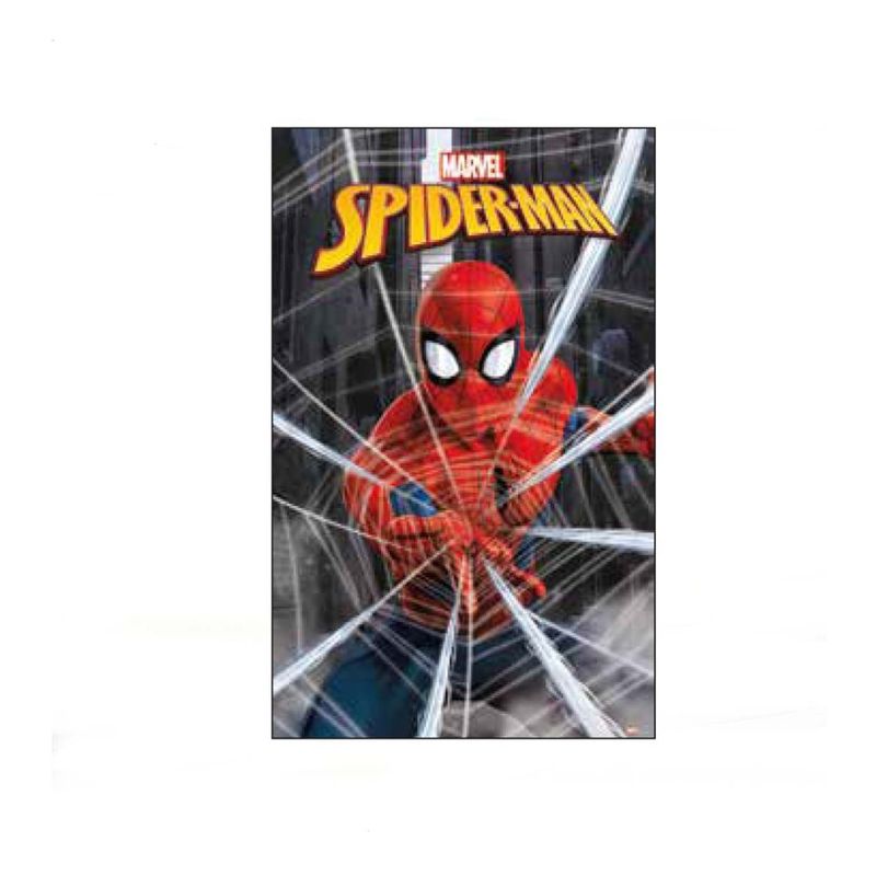 GENERICO - Poster Spider Man  89x96cm
