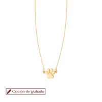 Collar de Oro 18kt Patita de Perro