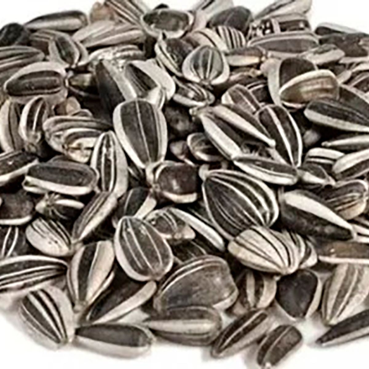 GENERICO - Semillas Alimento Girasol Aves Loros Granel Mp005  500gr