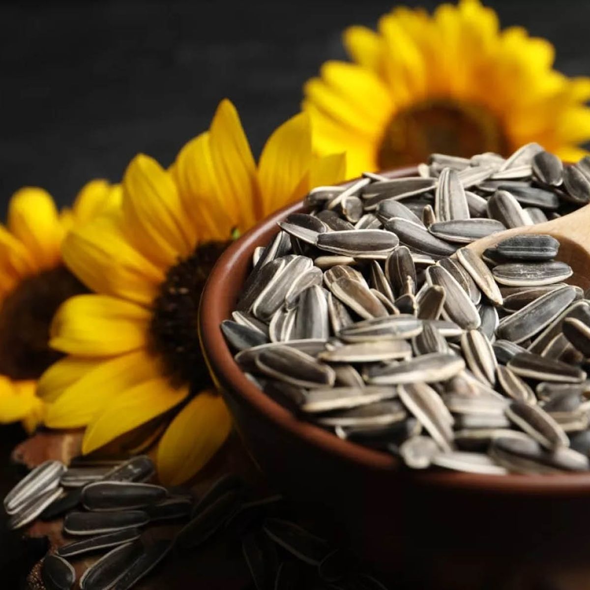 GENERICO - Semillas Alimento Girasol Aves Loros Granel Mp005  500gr