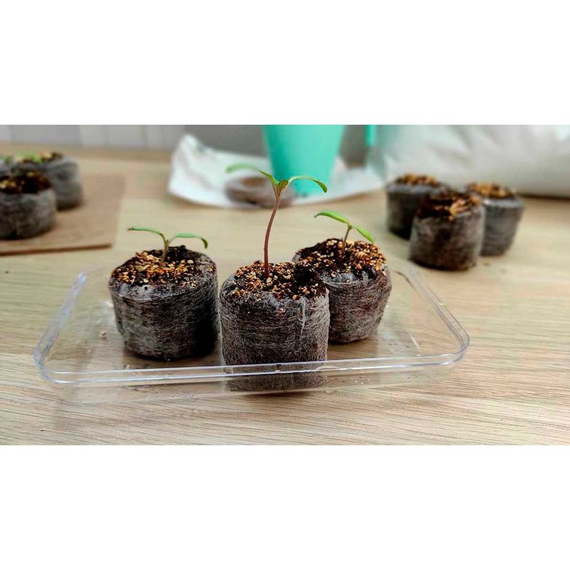 GROW SWEET - Jiffys 42x42 mm Germinadores de Turba