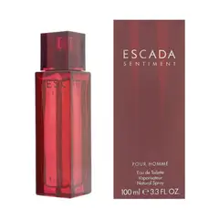 ESCADA - Sentiment Pour Homme EDT 100 ml