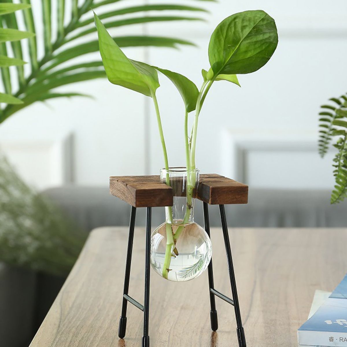 VATYERTY - Botella Florero transparente hidropónico A