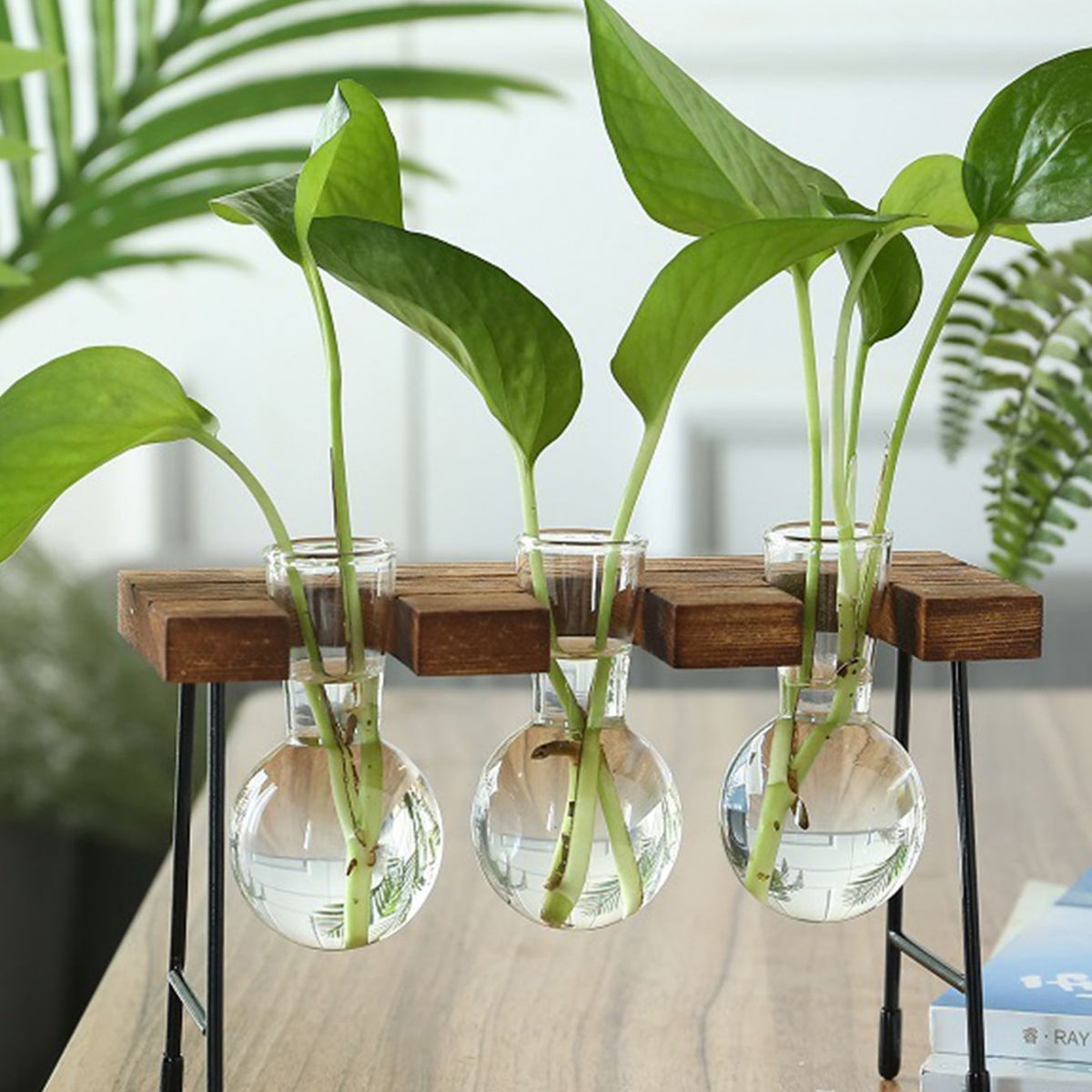 VATYERTY - Botella Florero transparente hidropónico C