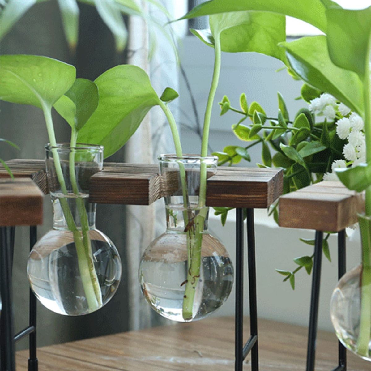 VATYERTY - Botella Florero transparente hidropónico B