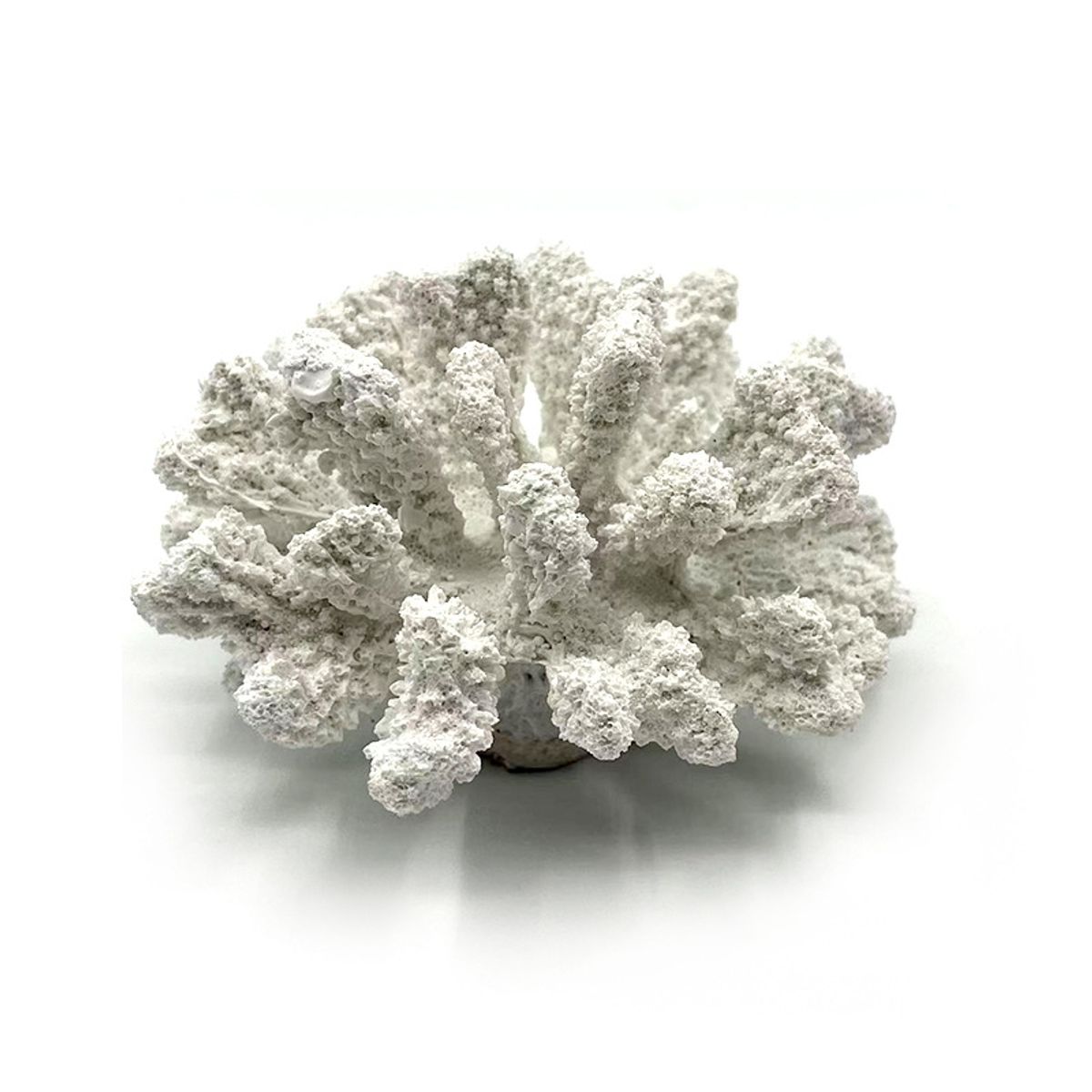 VATYERTY - Porcelana Decoración creativo unicolor coral