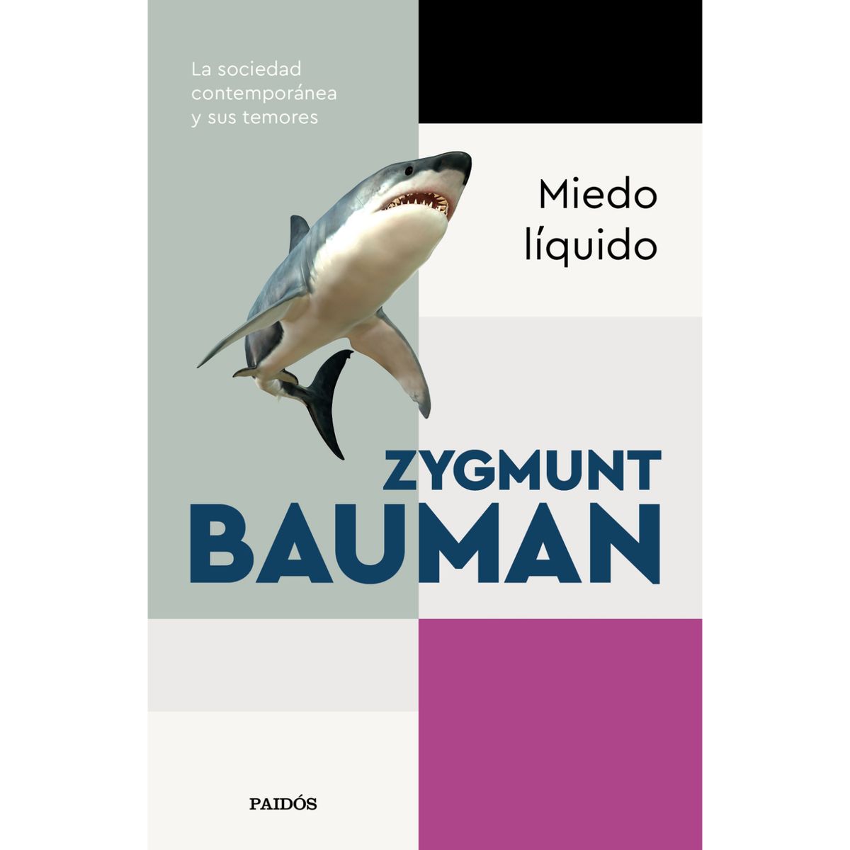 PAIDOS - Miedo Líquido - Autor(a):  Zygmunt Bauman
