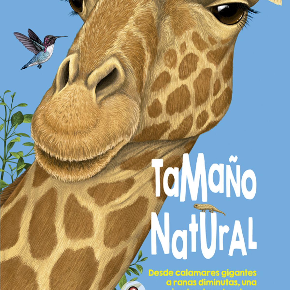 EDITORIAL CONTRAPUNTO - Tamaño Natural de Editorial Contrapunto