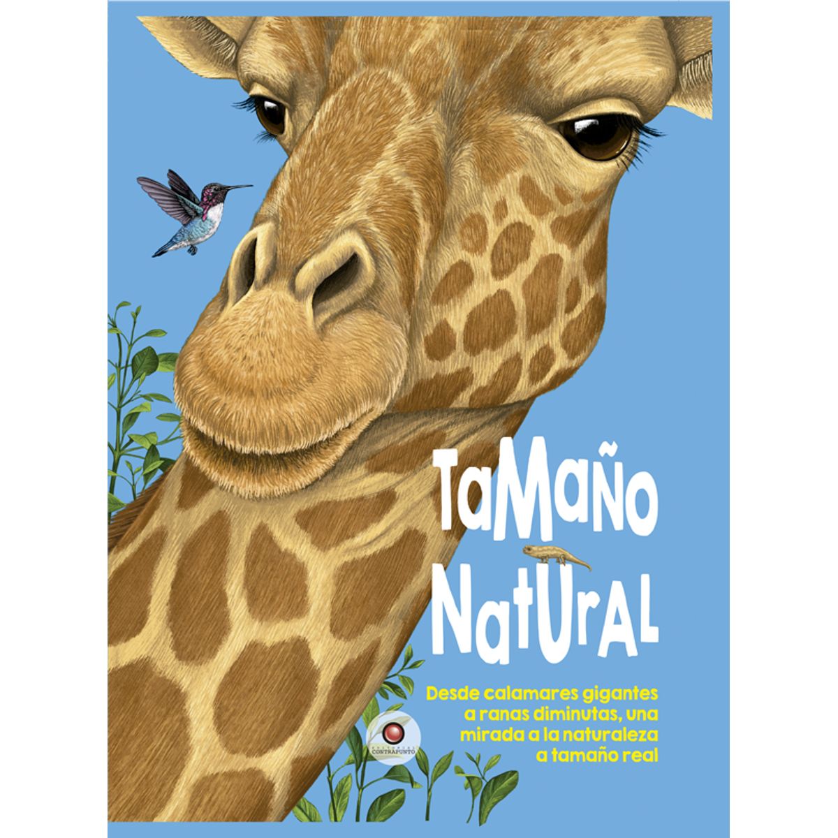 EDITORIAL CONTRAPUNTO - Tamaño Natural de Editorial Contrapunto