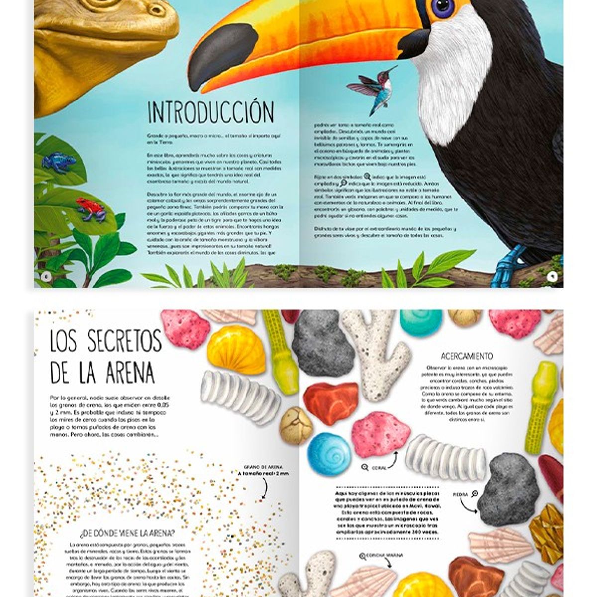 EDITORIAL CONTRAPUNTO - Tamaño Natural de Editorial Contrapunto