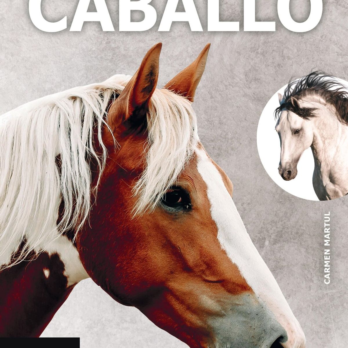 EDITORIAL CONTRAPUNTO - Enciclopedia Ilustrada Del Caballo