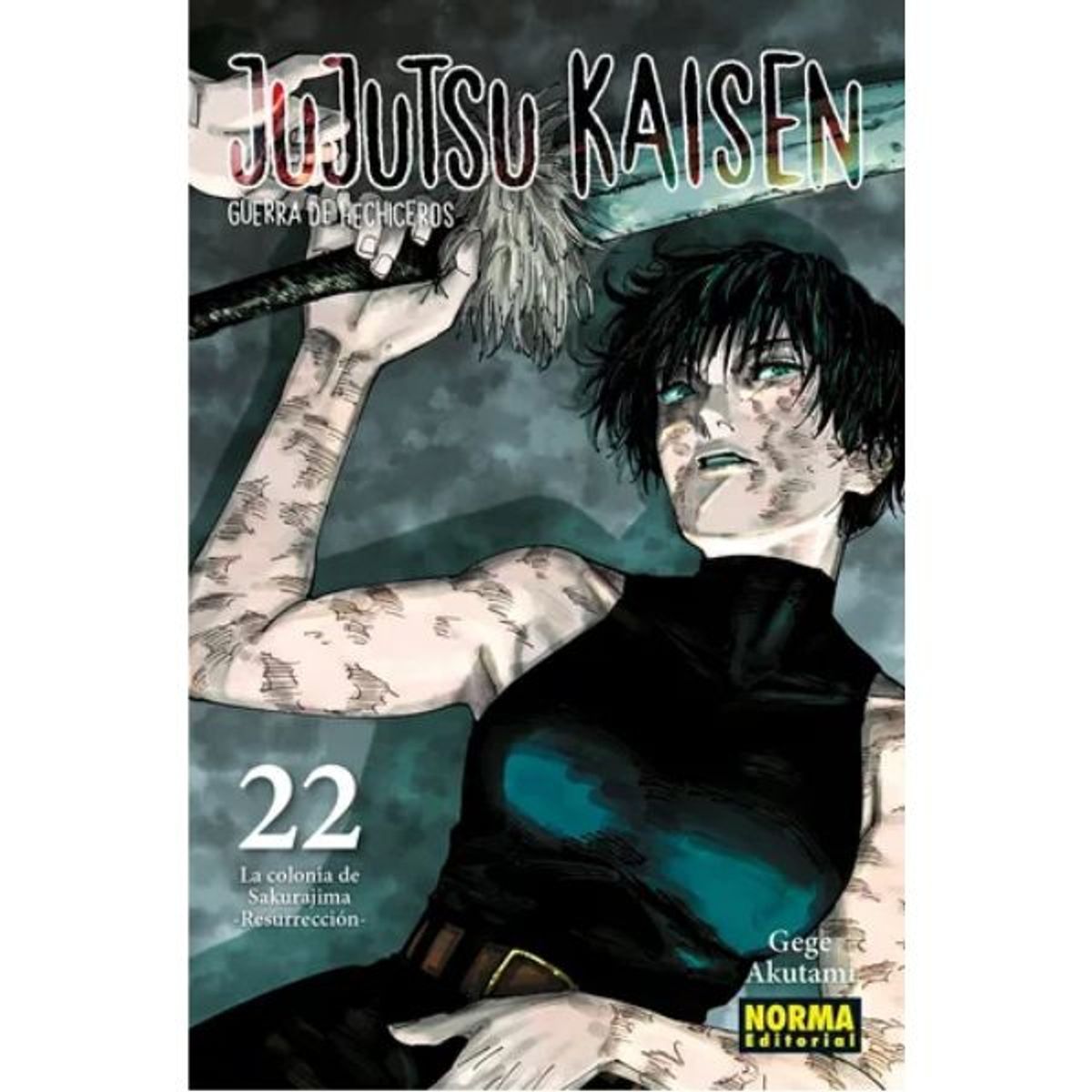 EDITORIAL NORMA - Jujutsu kaisen 22