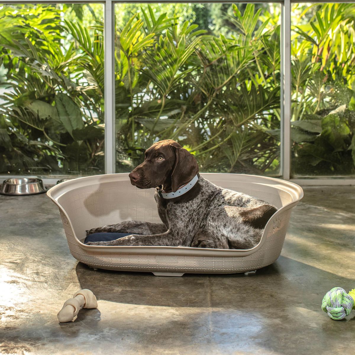 RIMAX - Cama Mascota Plástico Resistente con Cojín 77x54x23cm Rimax RIMAX