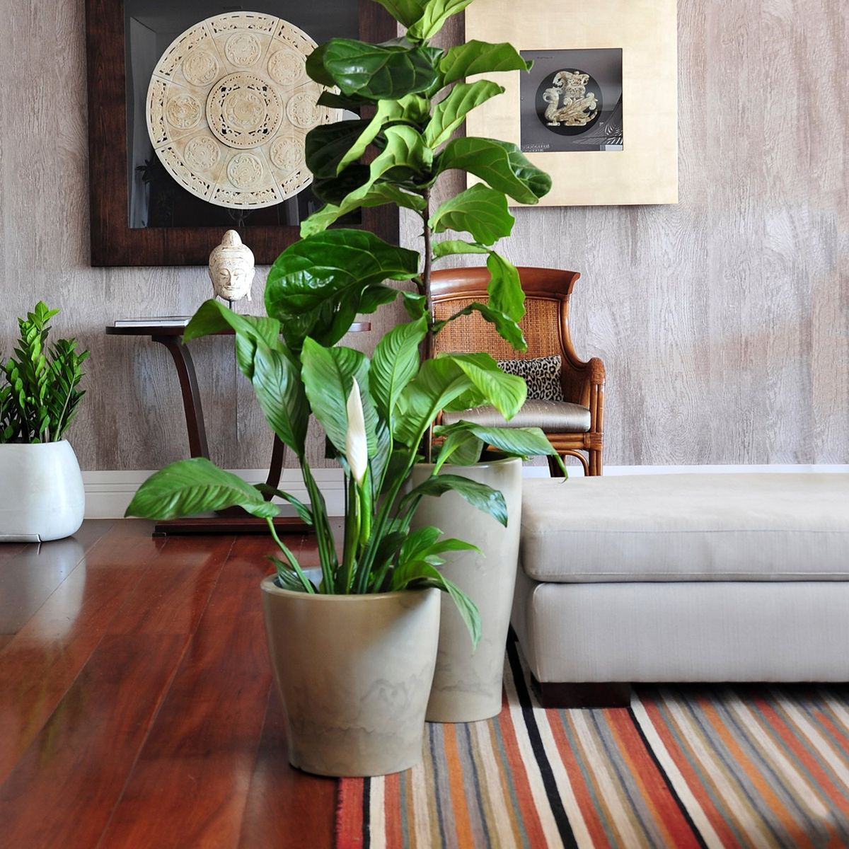 FORM DESIGN - Macetero Huasco 37 Crema Form