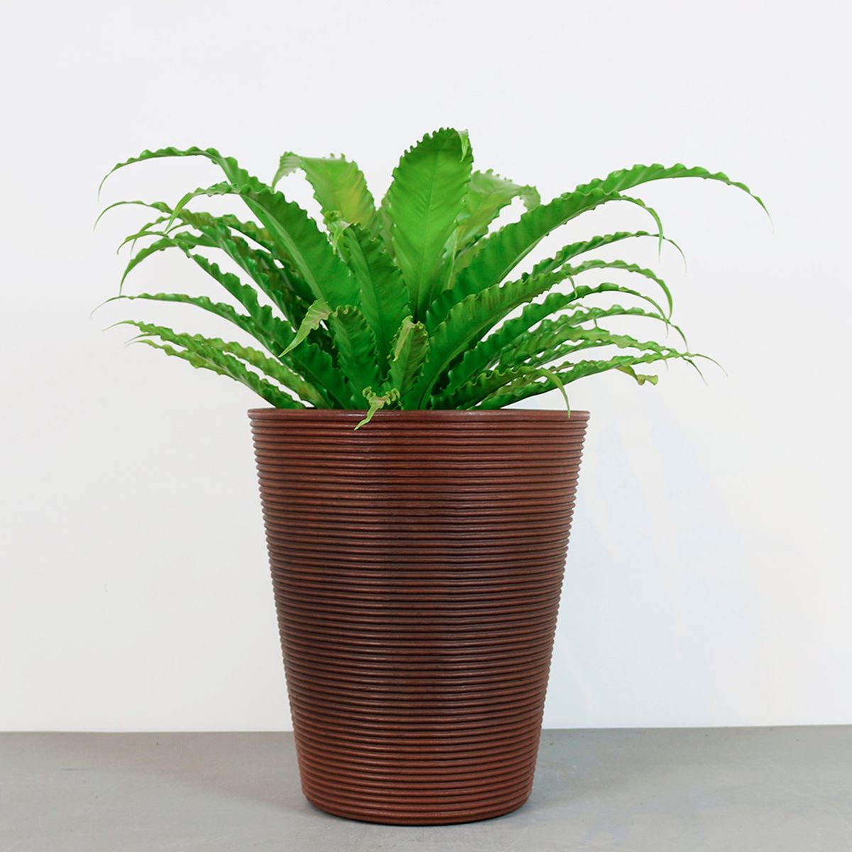 FORM DESIGN - Macetero Elqui 40 Café Form