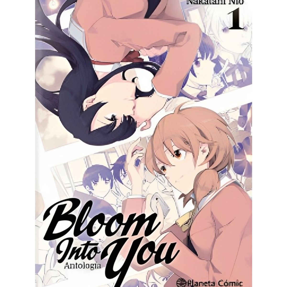 TOP10BOOKS - LIBRO Bloom Into You Antología Nº 01 - Aa. Vv.