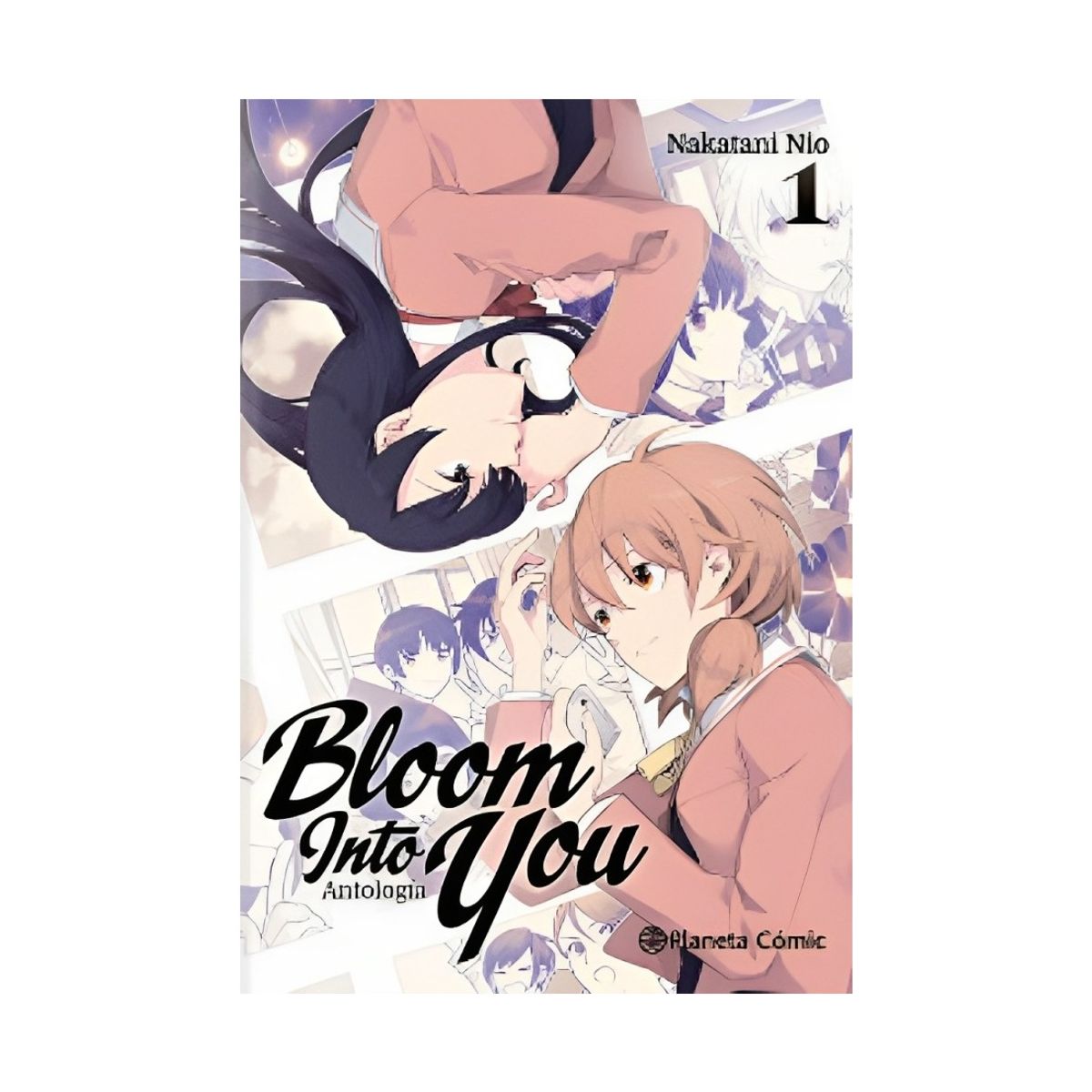 TOP10BOOKS - LIBRO Bloom Into You Antología Nº 01 - Aa. Vv.