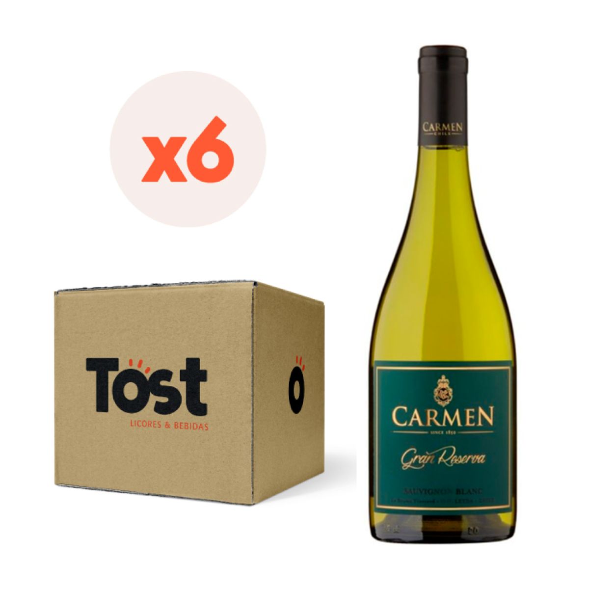 CARMEN - 6x Vino Carmen Gran Reserva Sauv. Blanc 14° 750cc