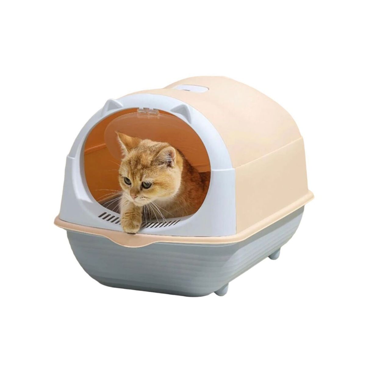 GENERICO - Arenero Para Gatos Baño 2 en 1 Bandeja y Cerrado