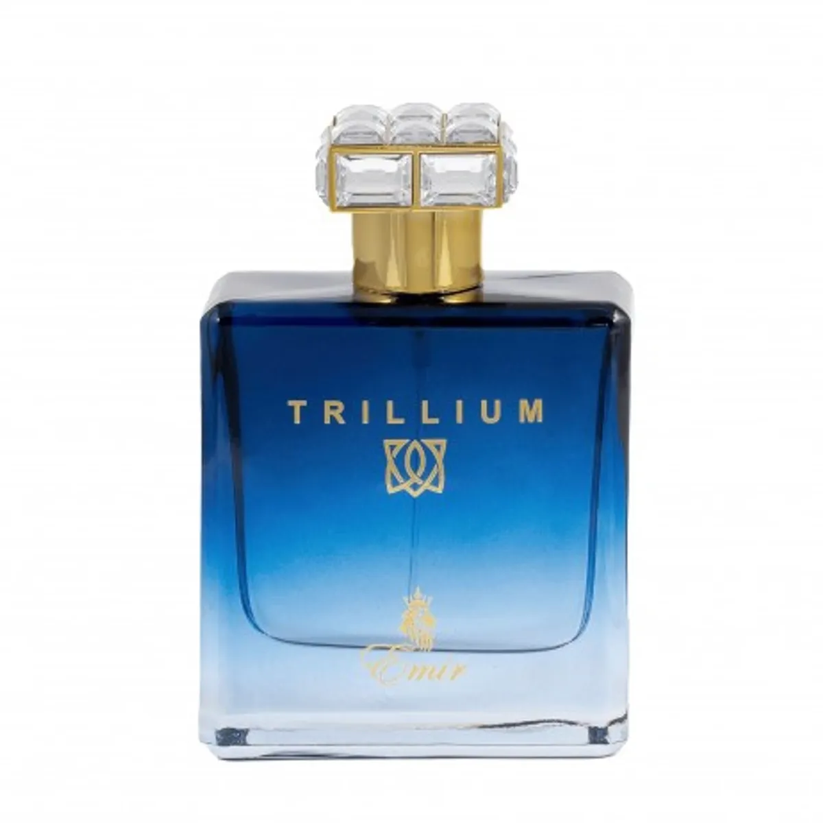 PARIS CORNER - PERFUME EMIR TRILLIUM EDP 100ML UNISEX