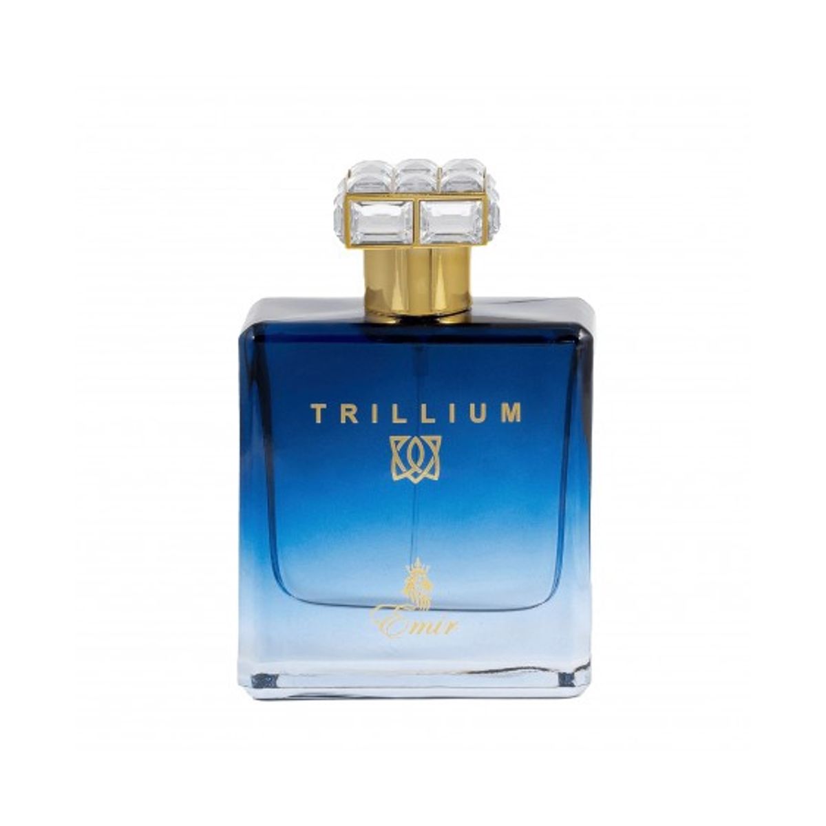 PARIS CORNER - PERFUME EMIR TRILLIUM EDP 100ML UNISEX