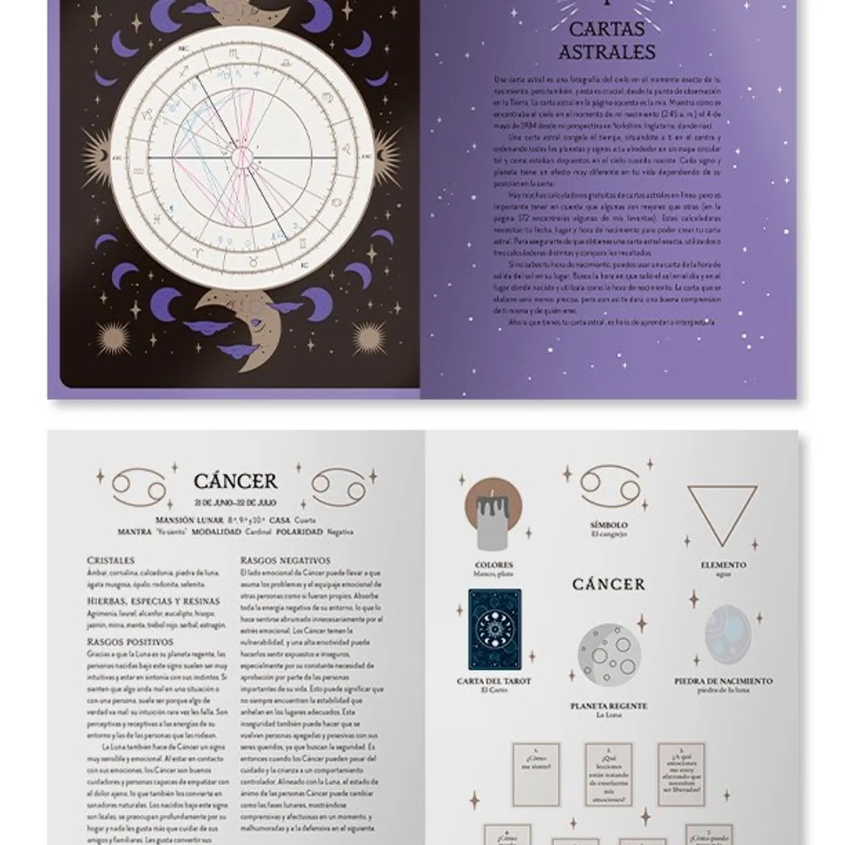 EDITORIAL CONTRAPUNTO - La Bruja Del Bosque - Magia Astrológica