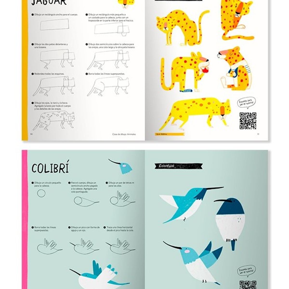 EDITORIAL CONTRAPUNTO - Clase De Dibujo - Animales