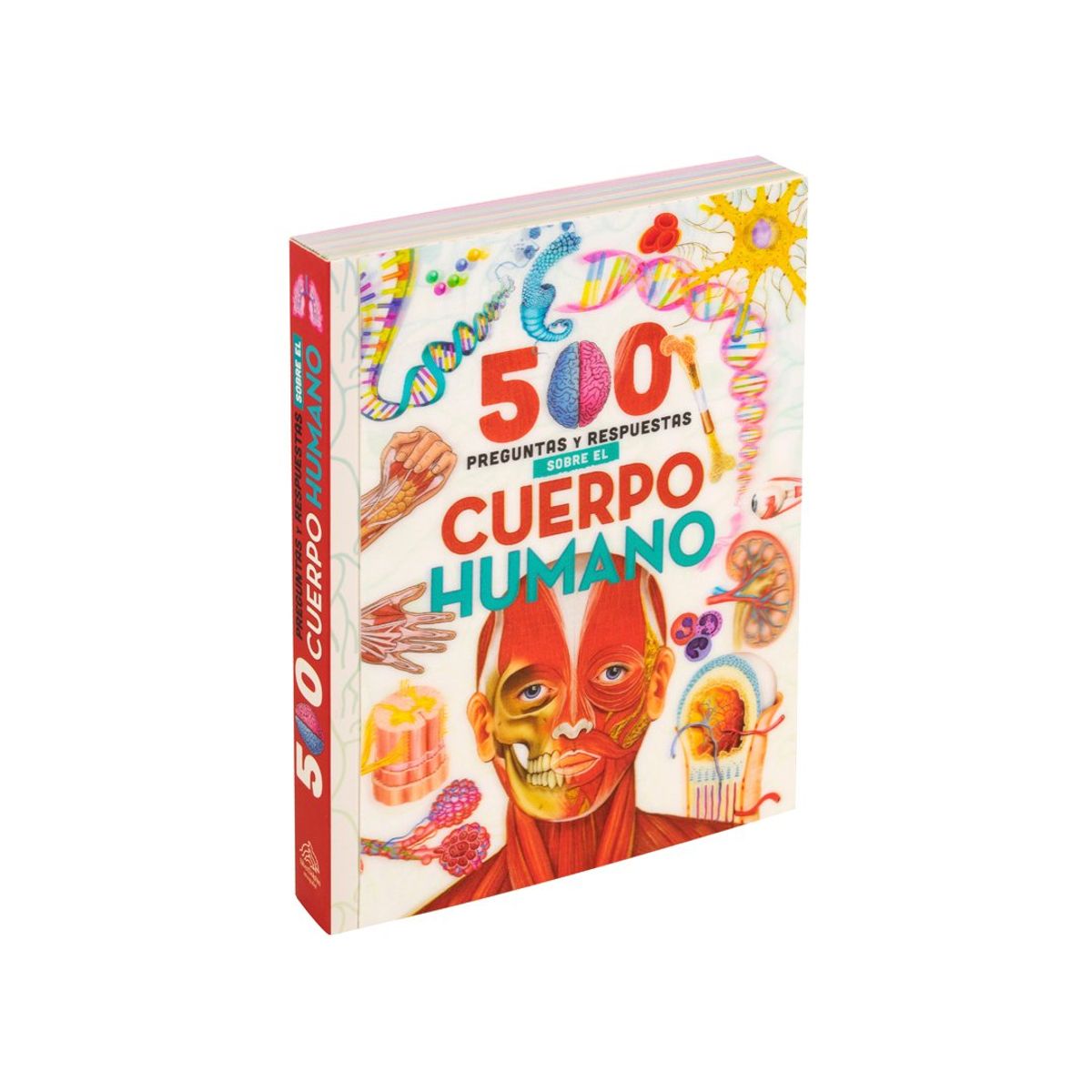 SILVER DOLPHIN - 500 Preguntas Y Respuestas - Sobre El Cuerpo Humano