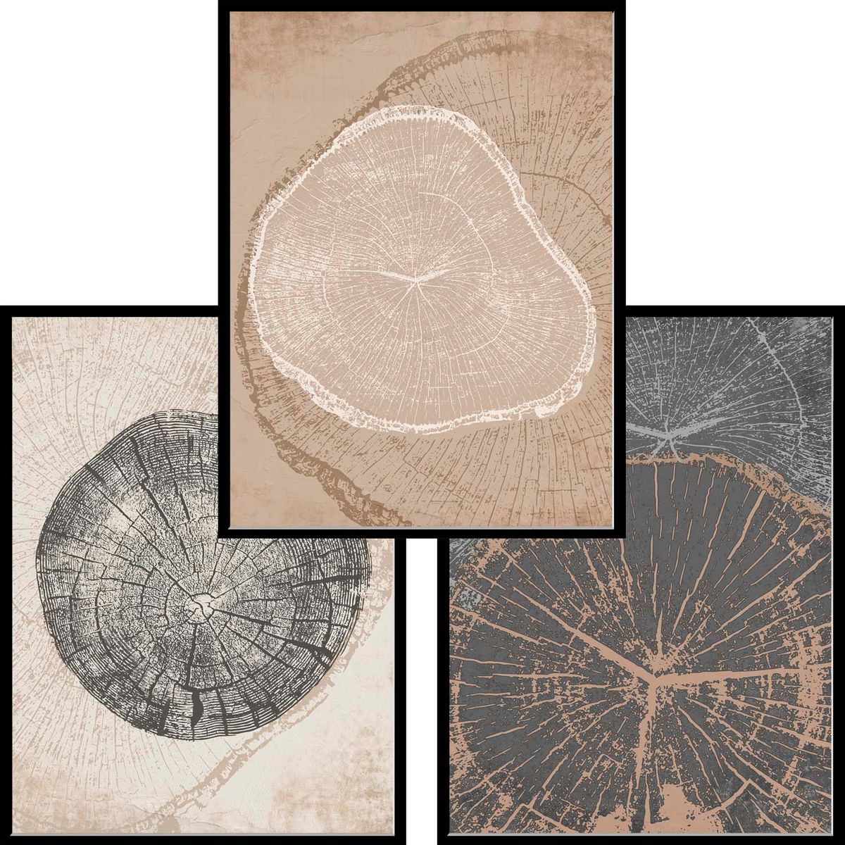 PAPEL ILUSTRADO - Set Anillos arboreos negro simple 40x50