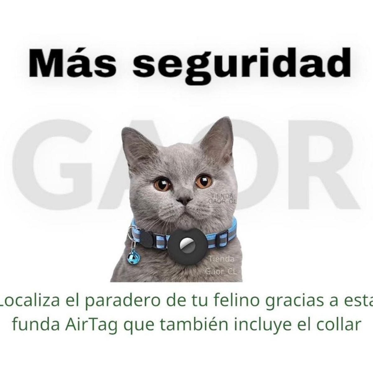 GAOR - Collar Con Funda Airtag Para Localizar Gato (Negro) GAOR.
