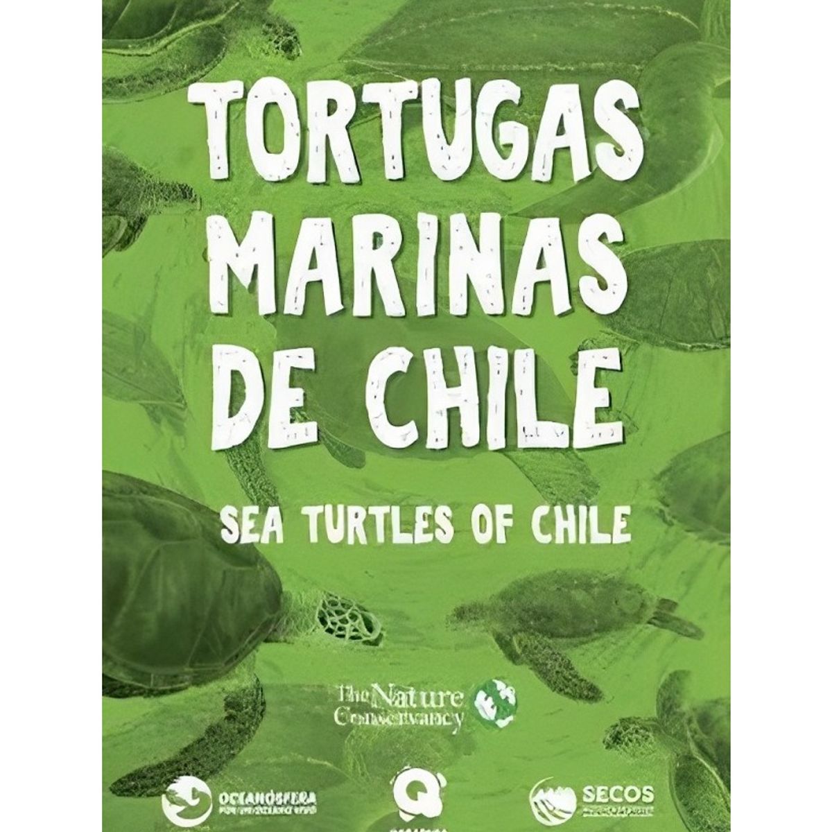 TOP10BOOKS - LIBRO El Estadio De "la U". Un Sueño Arrebatado Por La Dictadura