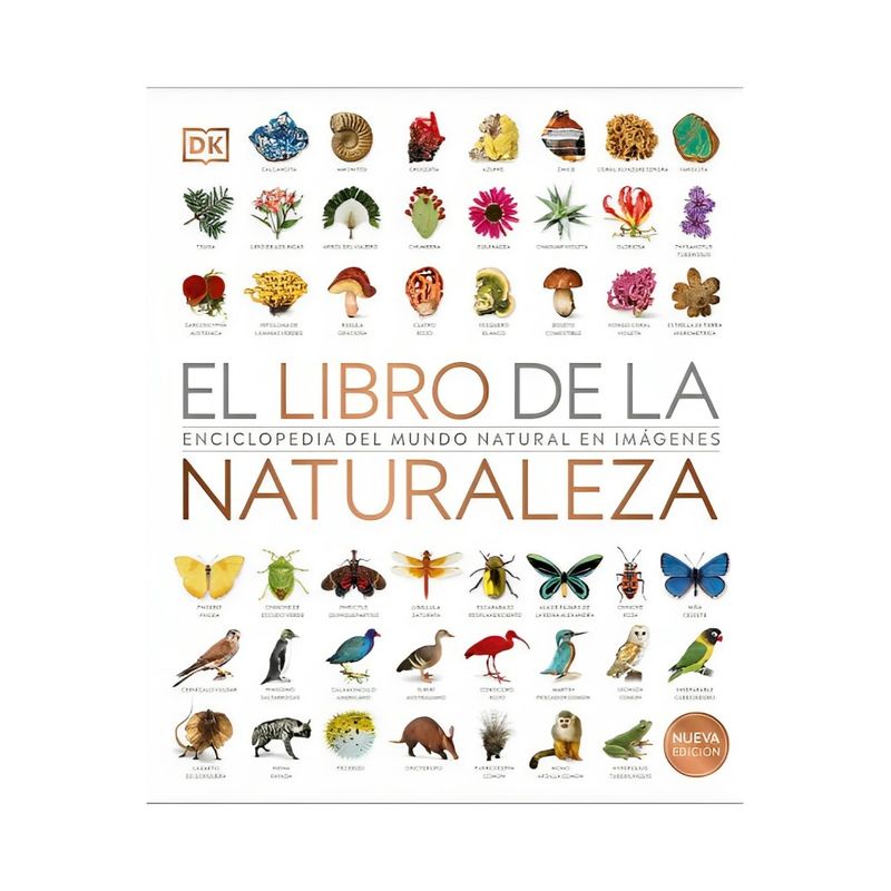 TOP10BOOKS - LIBRO ARTE. LA HISTORIA VISUAL DEFINITIVA / DK /