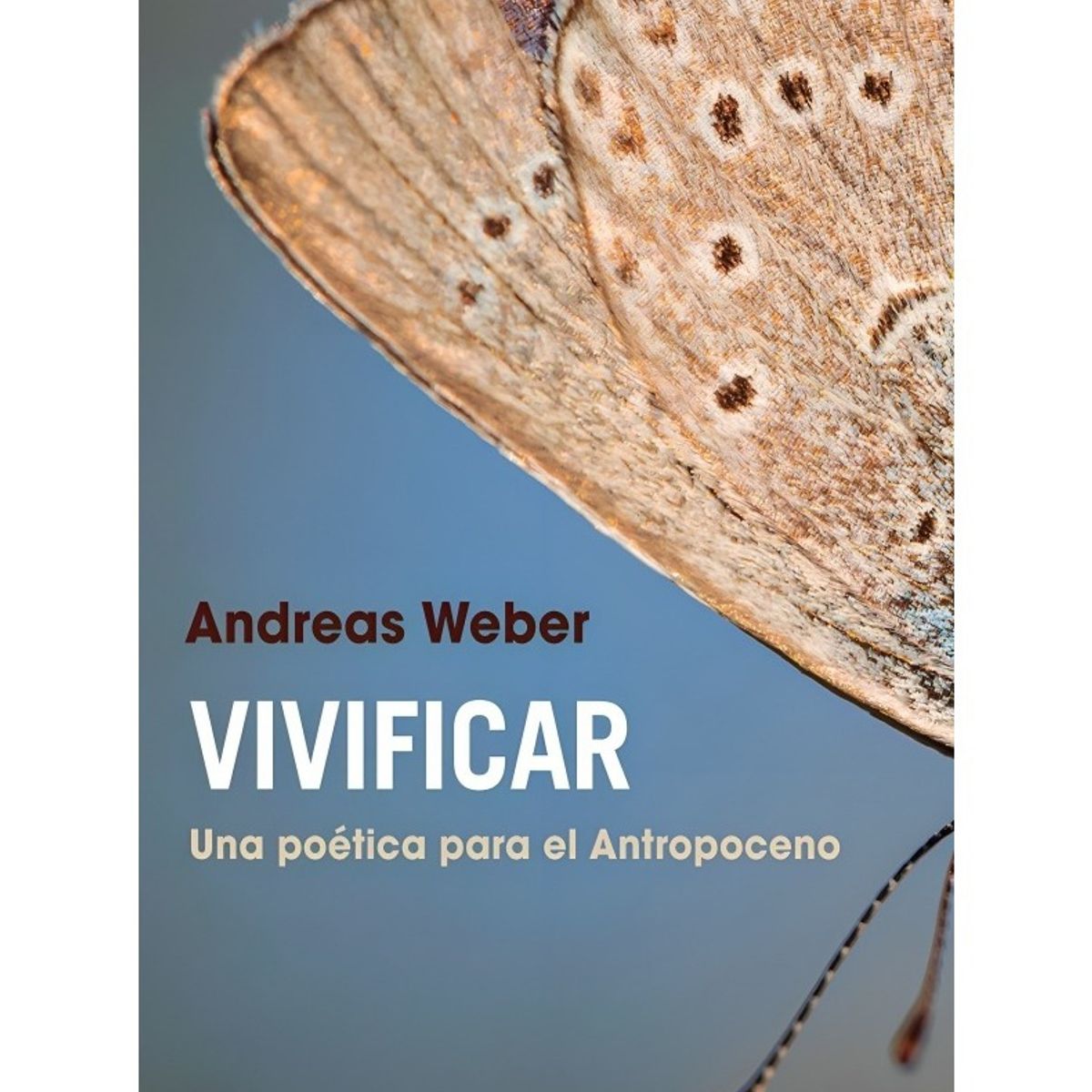 TOP10BOOKS - LIBRO Nukuto Es Amo De Casa - Yuki Isoya
