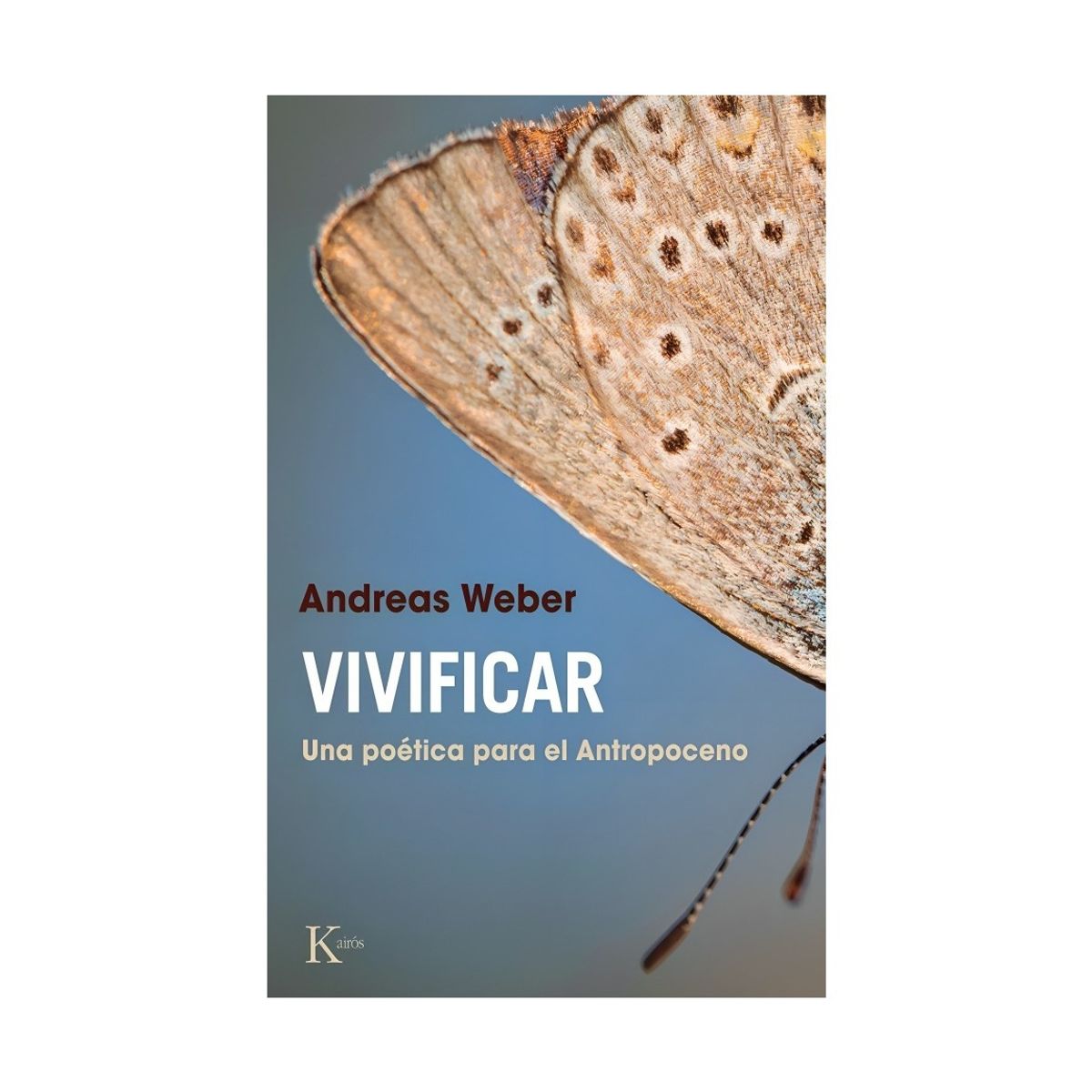 TOP10BOOKS - LIBRO Nukuto Es Amo De Casa - Yuki Isoya