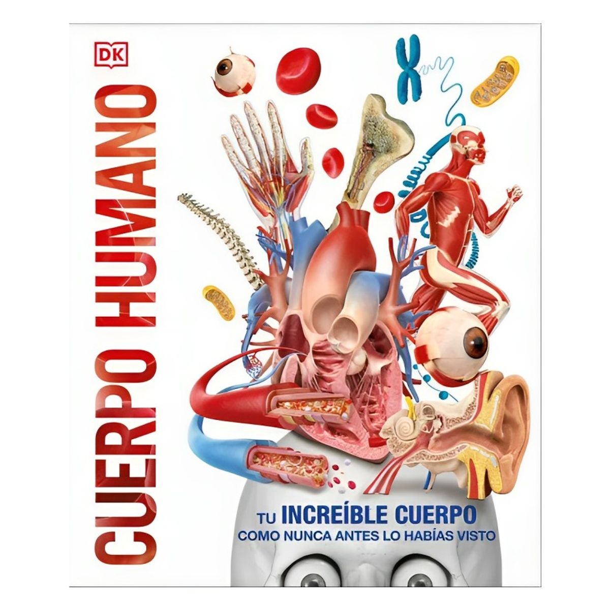 TOP10BOOKS - LIBRO La Vida Del Agua - La Vida Del Agua