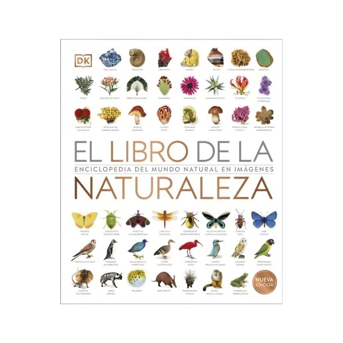TOP10BOOKS - LIBRO El Libro De La Naturaleza - El Libro De La Naturaleza